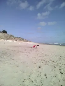 Vendée Loire land 400 m fra stranden Frankrig - Image 5