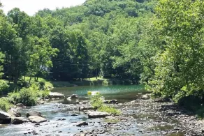 Beautiful updated River cottage in rural Upshur County. Backroads and backwoods for miles with fiber internet, four bedrooms and 3.5 baths. Dark skies, stocked river, adventures await. - Image 5