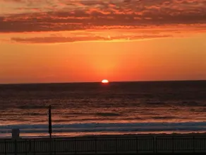 Beach House, Walking distance to downtown! - Image 4