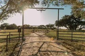 Relax at RMB Longhorn East, a country paradise - Image 2