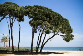TECAVI - Penthouse with Sea Views - Image 5