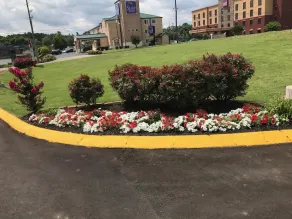 Lotus Inn and Suites Nashville - Image 2