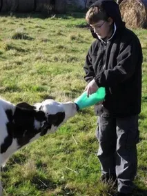 Breakaway Farmstay Victor Harbor - Image 3