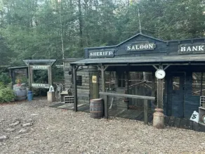 LUXURY Simply Serene: ESCAPE ROOM/Wild West City/Sauna/Spa/Golf/Pool/on 4 ACRES - Image 5