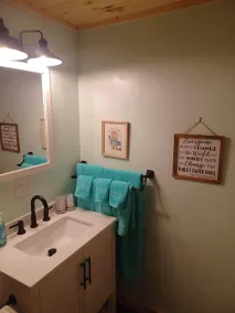 Cozy New Cabin with all modern conveniences surrounded by woods and wildlife..  - Image 3