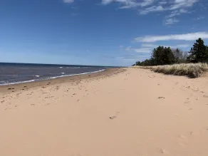 Oceanfront beach cottage panoramic views spectacular sunsets sandbars warm water - Image 5