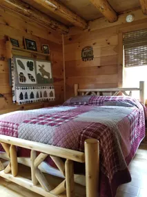 Adirondack / Oswegatchie Riverfront Cabin - Image 4