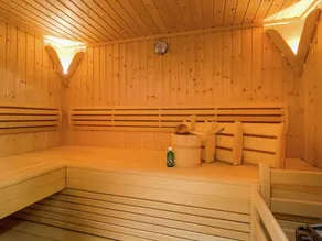 Elegant Chalet With Sauna in Salzburg - Image 2