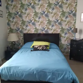 Charmerende sydvendt hus fuldstændig renoveret med have - Image 4