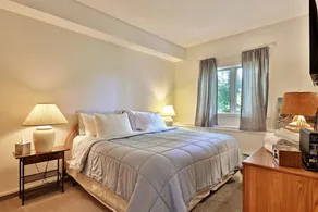 The Woods by Killington Vacation Rentals - 2 Bedrooms - Image 3
