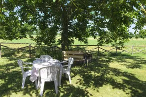 Typical farmhouse with private swimming pool and large outdoor area. Situated near the village of Fo - Image 5