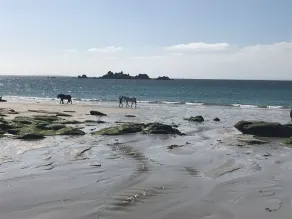 Comfortable house with magnificent sea view 🌊 for up to 6 people - Image 4