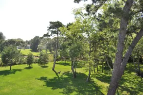 2-acre waterfront home with stunning views, pool, private beach & deepwater dock - Image 4