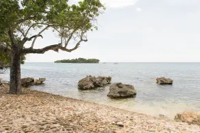 Crawfish Beach Suite - Image 5