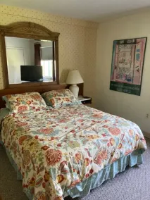 Family condo in the center for all season fun. - Image 3