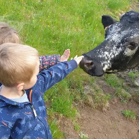 Meget smukt sommerhus i Vosgean Farm, kvalitetsservice - Image 4