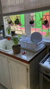 Come stay in an authentic Bajan Chattel Home in lovely St. Phillip - Image 5