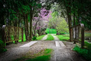 We are a quiet ranch home that sits on 8 acres with firepit, pond and bar. - Image 4
