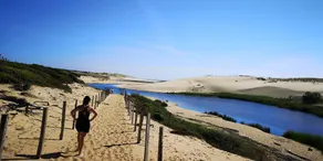 Maison avec jardin privé à 6 kms des plages landaise (9 kms par piste cyclable) - Image 5
