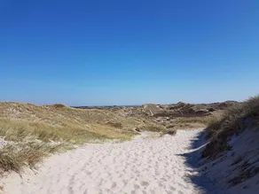 Retreat near Bork Harbor - Image 5