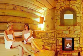 Ferienhaus in Wernigerode mit Innenpool - Image 3