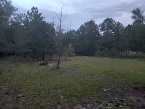Private Nature Oriented Campground - Image 3