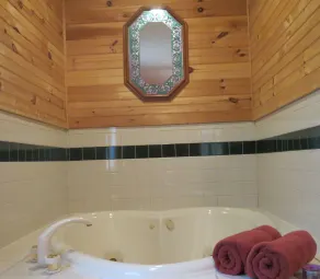 Tilbud!I nærheden af Dollywood! Jacuzzi! Spillerum! Stone Pejs! Lg Deck! Campfire Pit - Image 4