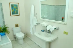 Wild Orchid 5 BR 5.5 Bth staff Private Paradise Spring Gardens Montego Bay<br> - Image 3