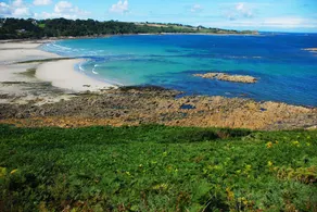 SUPERBE VUE MER. Non mitoyenne. Petit nid d'amour, face à la mer - Image 5