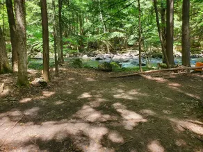 Private Waterfall Oasis: Secluded Creekside Camping at Putnam Creek - Image 4