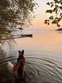 Hakuna Matata på en privat ø Log Cabin i en Maine søen! - Image 5