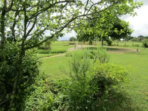 Comfortable cottage with large private garden and WIFI - Image 5