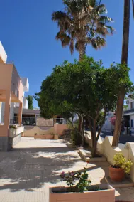 Zouboulia - Image 3