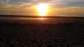 Carrickalinga PET FRIENDLY Beachhouse - Image 5