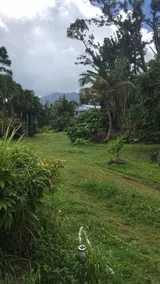 Banana room - Image 4