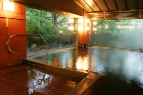 Nasu Onsen Sanraku - Image 2