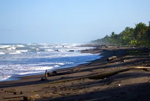 Turtle Beach Lodge - Image 5