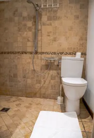 19. århundrede bondegård med indendørs opvarmet pool hele året rundt. - Image 4