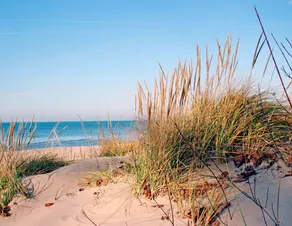 Relax in Comfort! 2BR Condo Close to Grand Rapids - Image 5