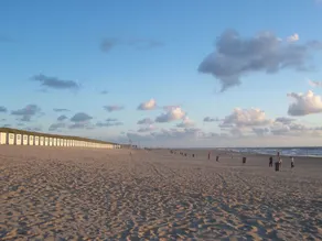 Schönes Haus auf Texel in Meeresnähe - Image 5