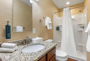 1 BDRM CONDO ~HISTORIC POWHATAN RESORT~ INDOOR & OUTDOOR POOLS & HOT TUBS!! - Image 4