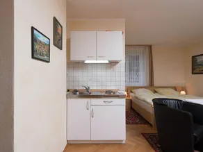 Holiday Homes for two People, With a Swimming Pool, in the Ore Mountains - Image 3