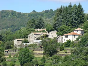 Grande suite pour 2 à 4 personnes. - Image 4