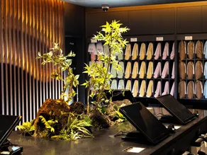 SUPER HOTEL Kirishima Natural Hot Spring - Image 5