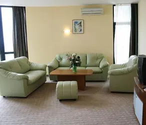 Palm Beach - Image 4