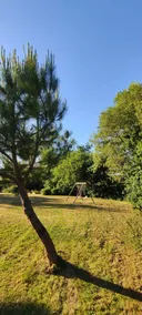 Domaine de Bernassa - Privacy and calm in the heart of 20 hectares of nature. - Image 3