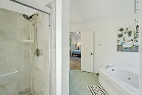307 W Indian - The Prickly Pear - Image 3