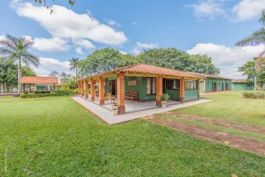 Beautiful horse farm near São Paulo. - Image 2