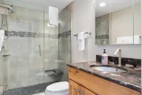 Boyne Mountain, Base of Mtn, Sleeps 13 - Image 5
