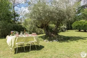 Large house with a heated indoor pool near Toulouse   - Image 5